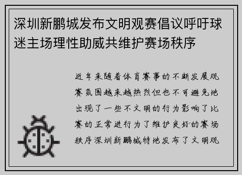 深圳新鹏城发布文明观赛倡议呼吁球迷主场理性助威共维护赛场秩序